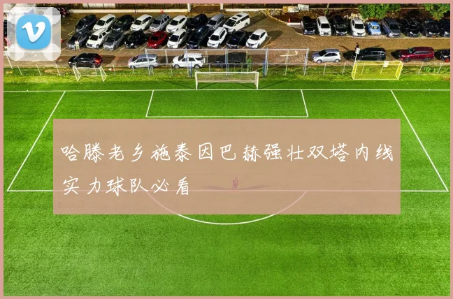 哈滕老乡施泰因巴赫强壮双塔内线实力球队必看